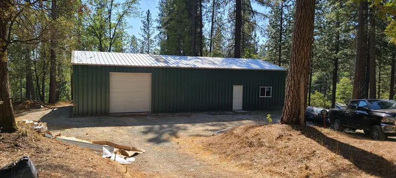 Green steel shop under tall trees